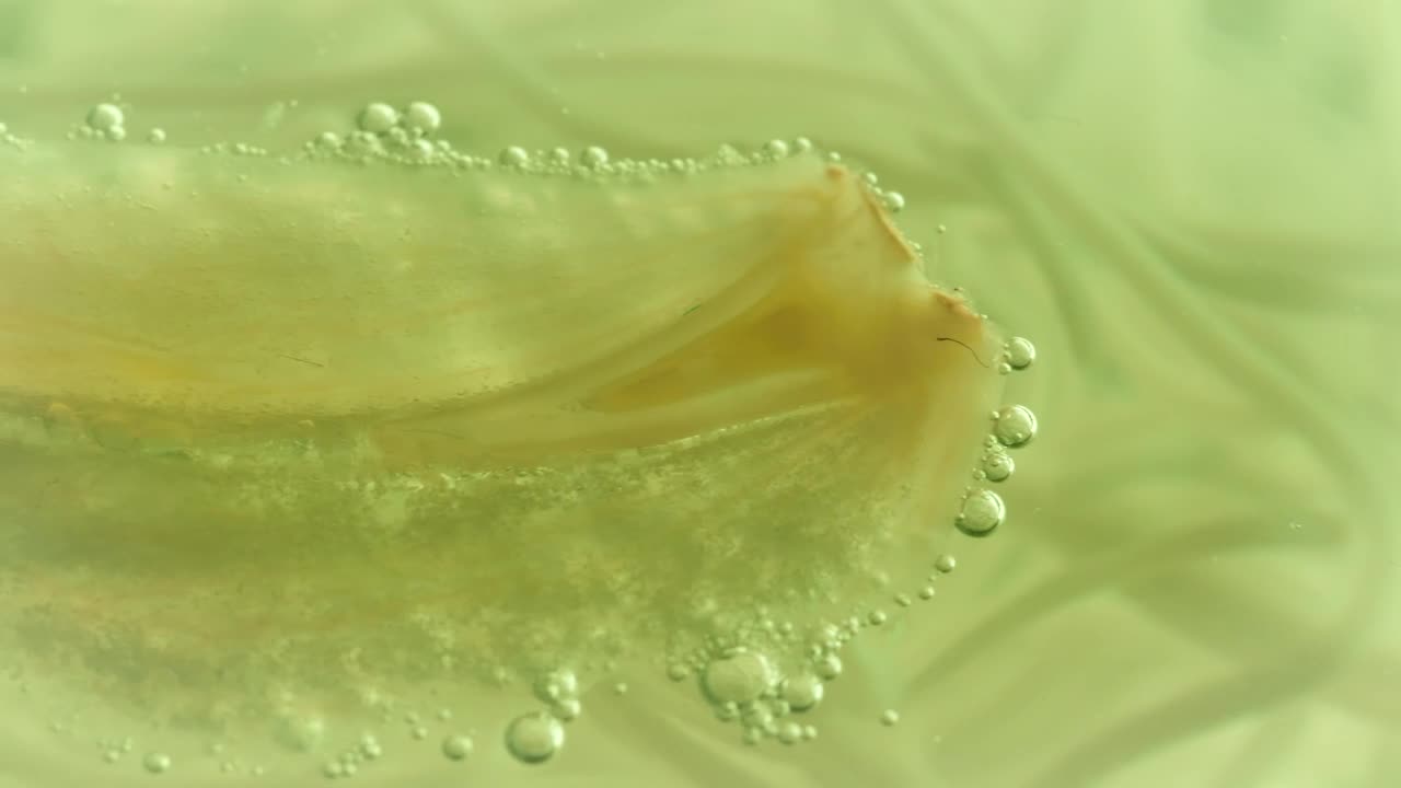 Stock Video Bacteria Under Microscope Live Wallpaper For PC