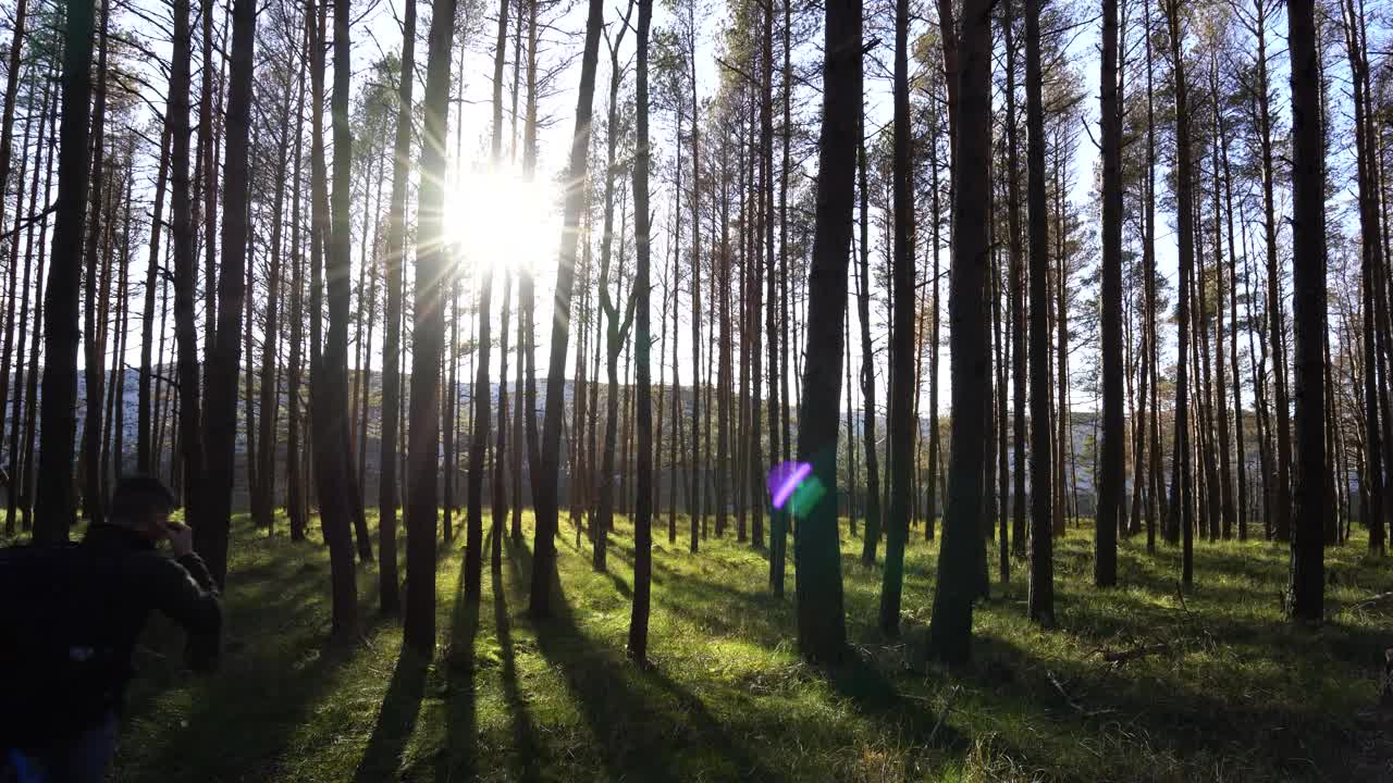 Stock Video Backpacker Walking Through The Woods Live Wallpaper For PC