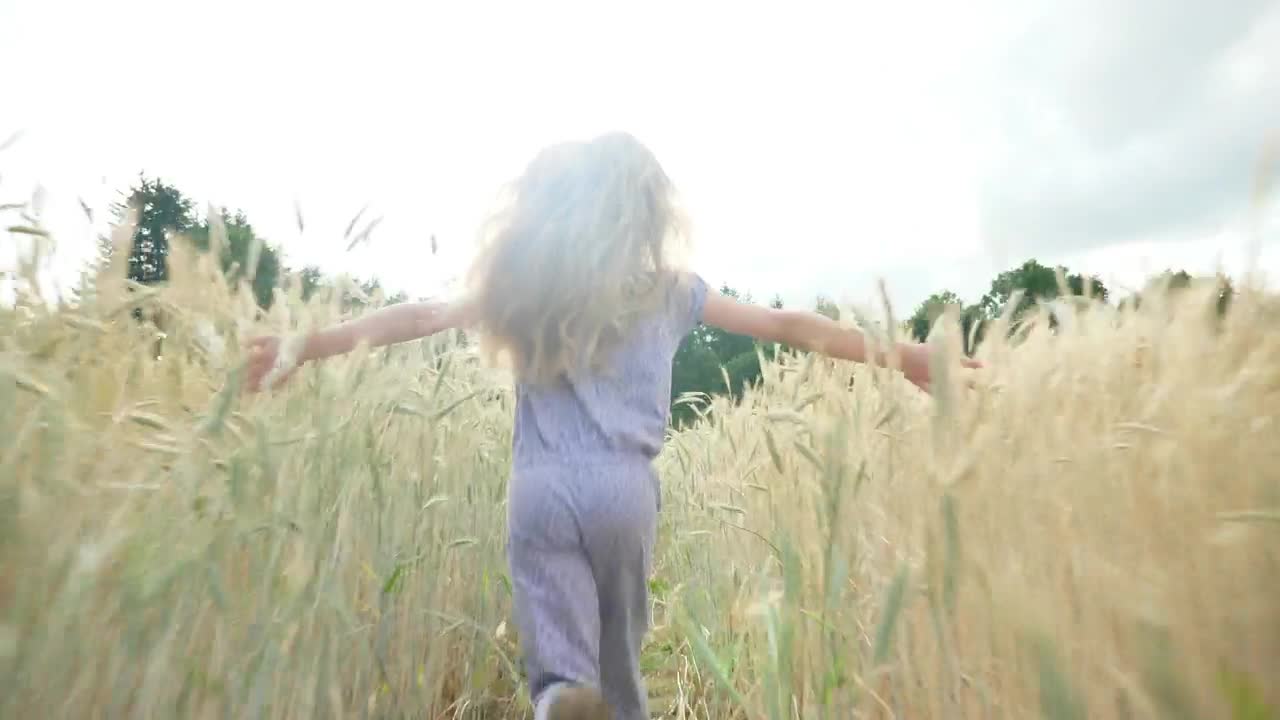 Stock Video Back View Of Girl Running Through Sunlit Field Live Wallpaper For PC