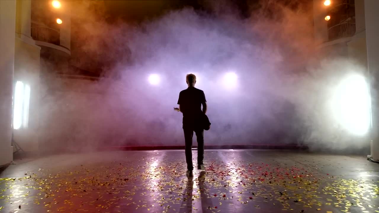 Stock Video Back View Of A Guitarist On A Stage Live Wallpaper For PC