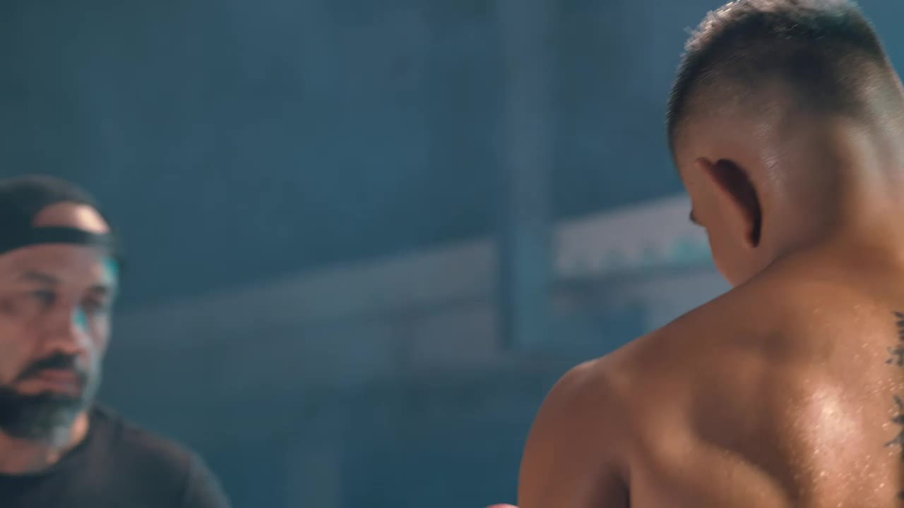 Stock Video Back View Of A Boxer Training Live Wallpaper For PC