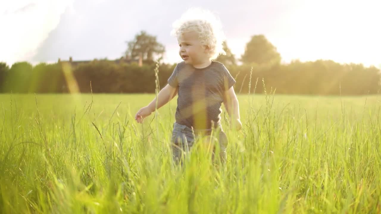 Stock Video Baby Playing In A Field Live Wallpaper For PC