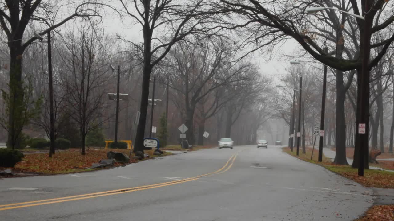 Stock Video Autumn Park Traffic Live Wallpaper For PC