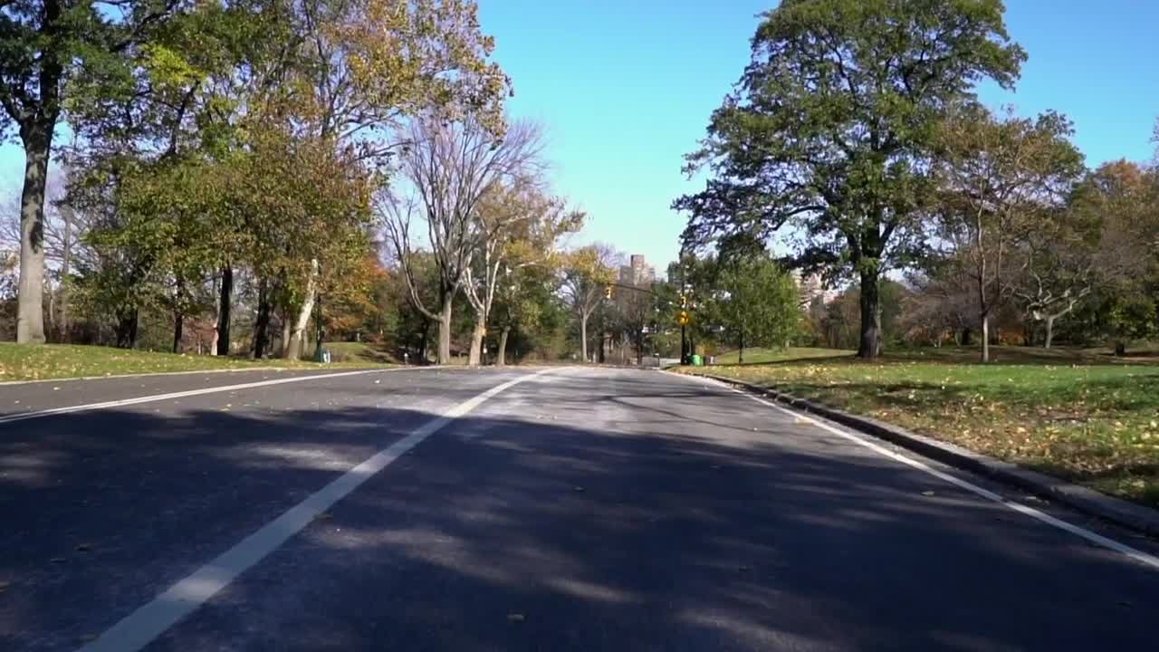 Stock Video Autumn Leaves In Central Park Live Wallpaper For PC