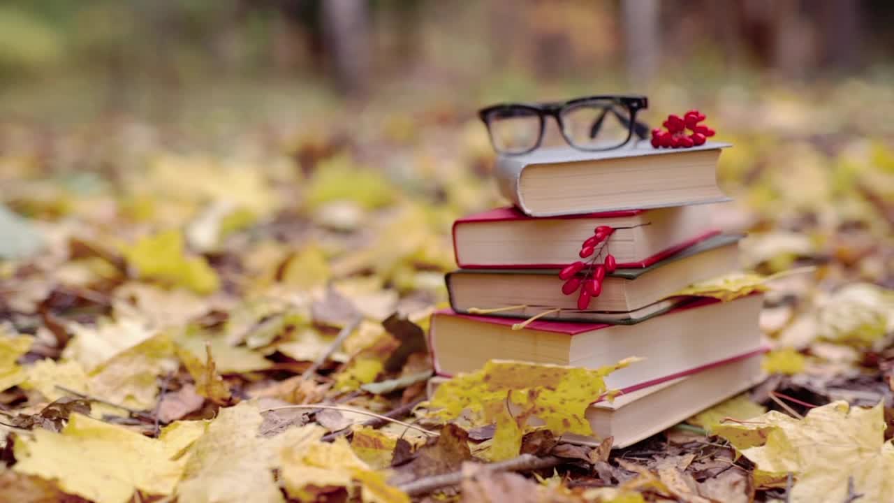 Stock Video Autumn Leaves Fall On Stack Of School Books Live Wallpaper For PC