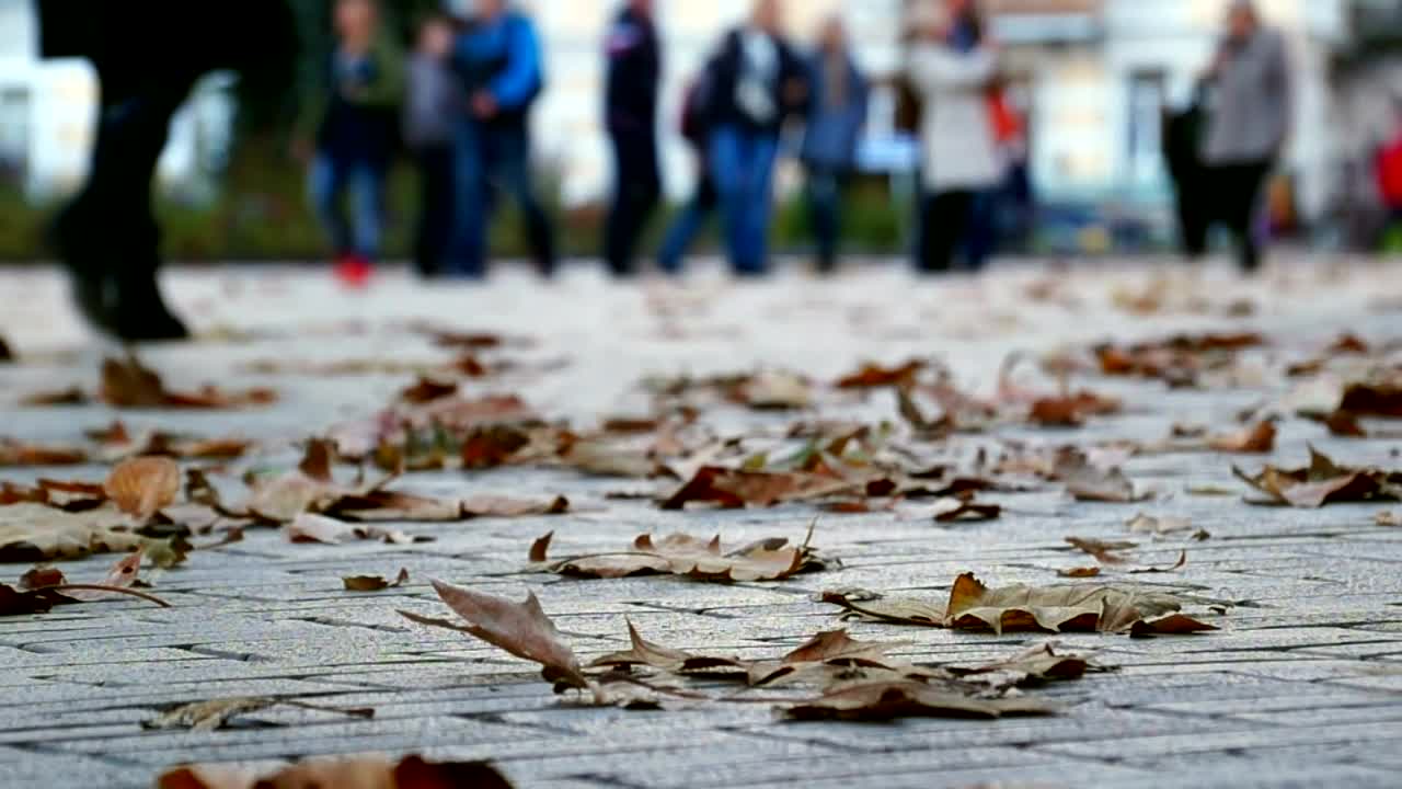 Stock Video Autumn Leaves And People Walking In The Background Live Wallpaper For PC