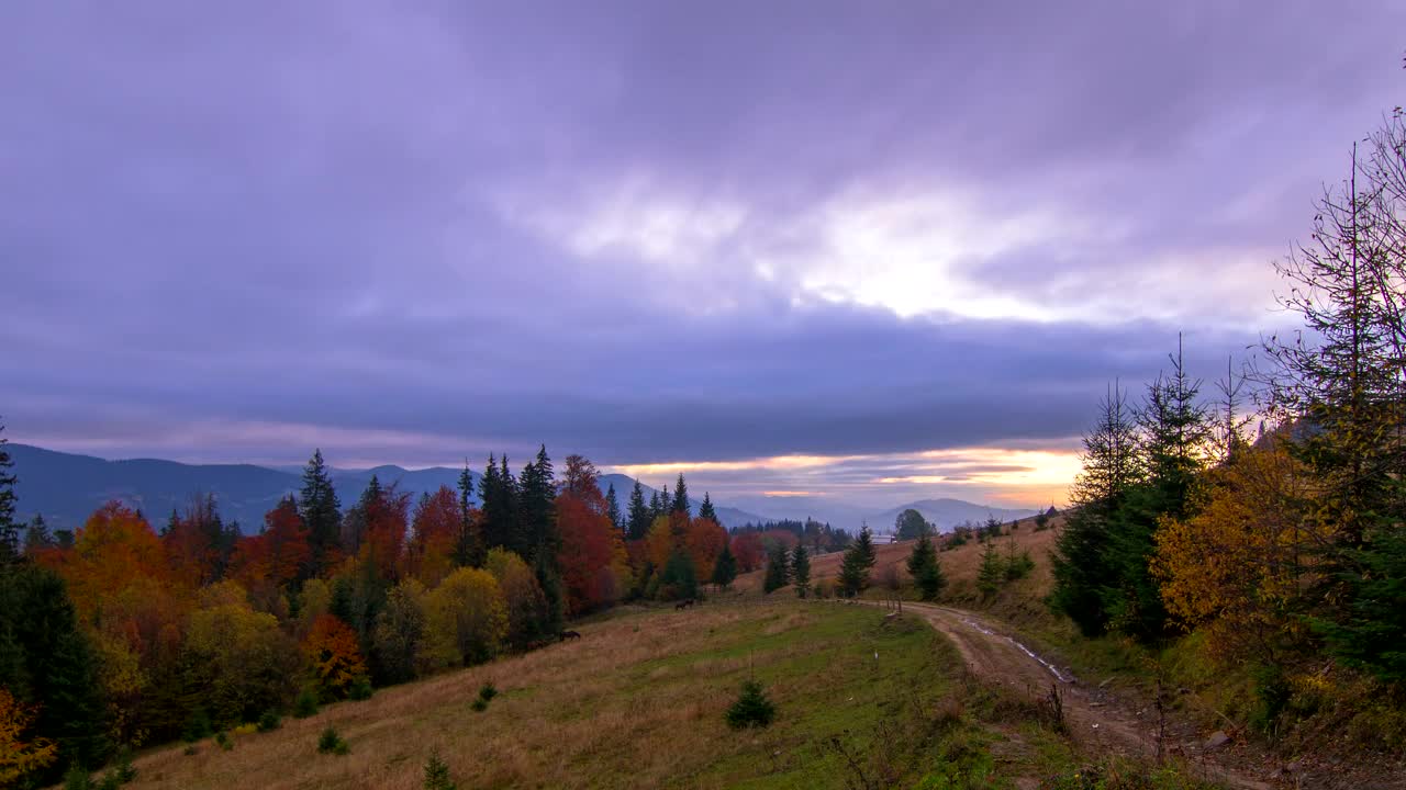 Stock Video Autumn Hills At Sunrise Live Wallpaper For PC