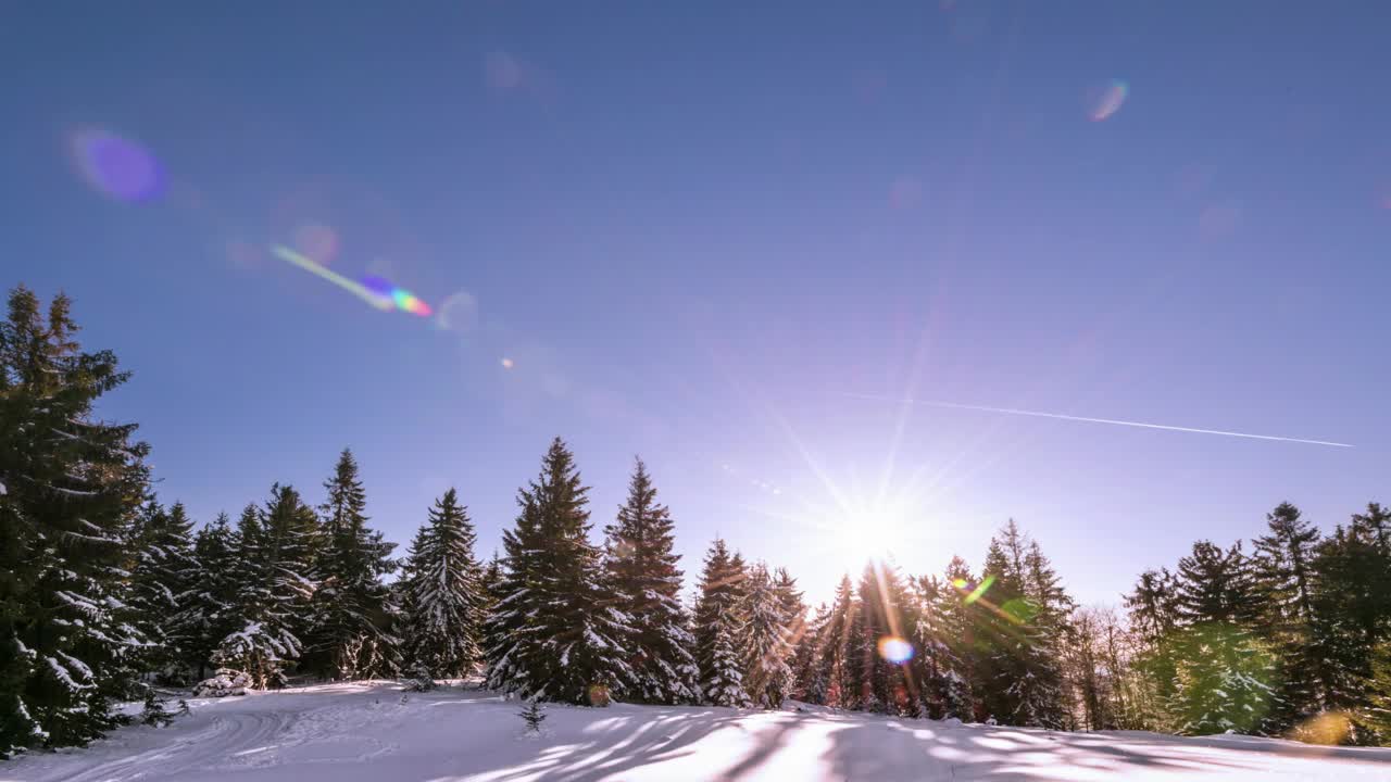 Stock Video Aurora In The Winter Forest Sky Live Wallpaper For PC