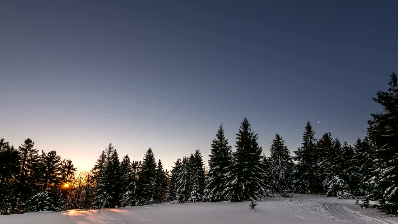 Stock Video Aurora At Dawn In A Winter Forest Live Wallpaper For PC
