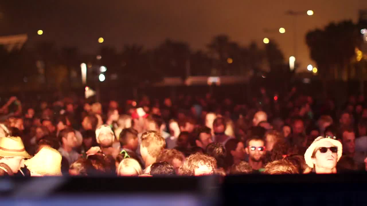 Stock Video Audience At A Concert Live Wallpaper For PC