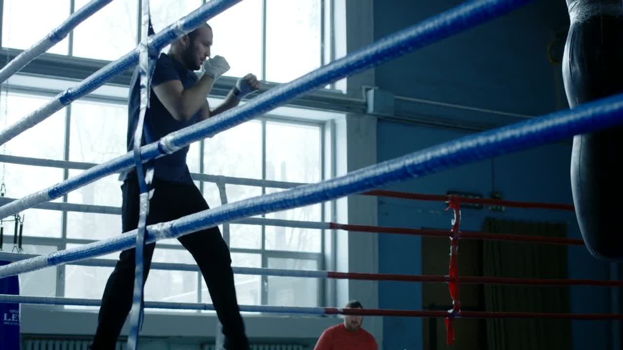 Stock Video Athlete Training Boxing On The Ring Live Wallpaper For PC