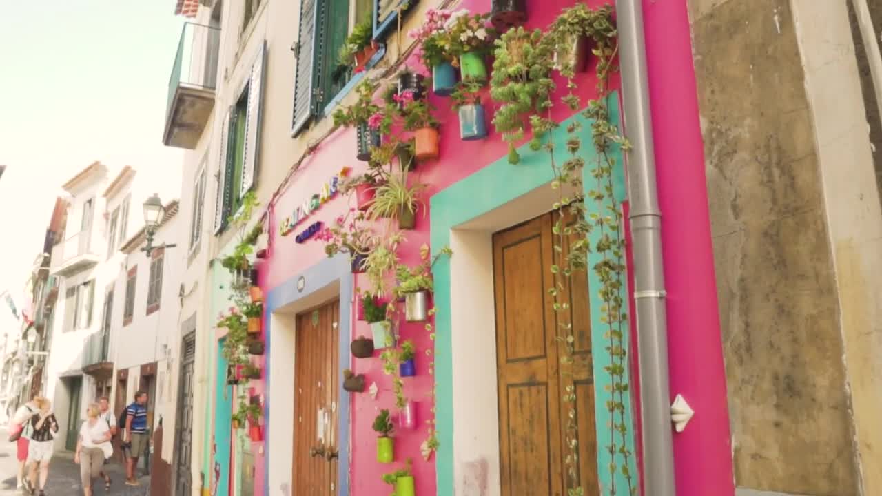 Stock Video Art Gallery With Hanging Flowerpots In The Wall Live Wallpaper For PC