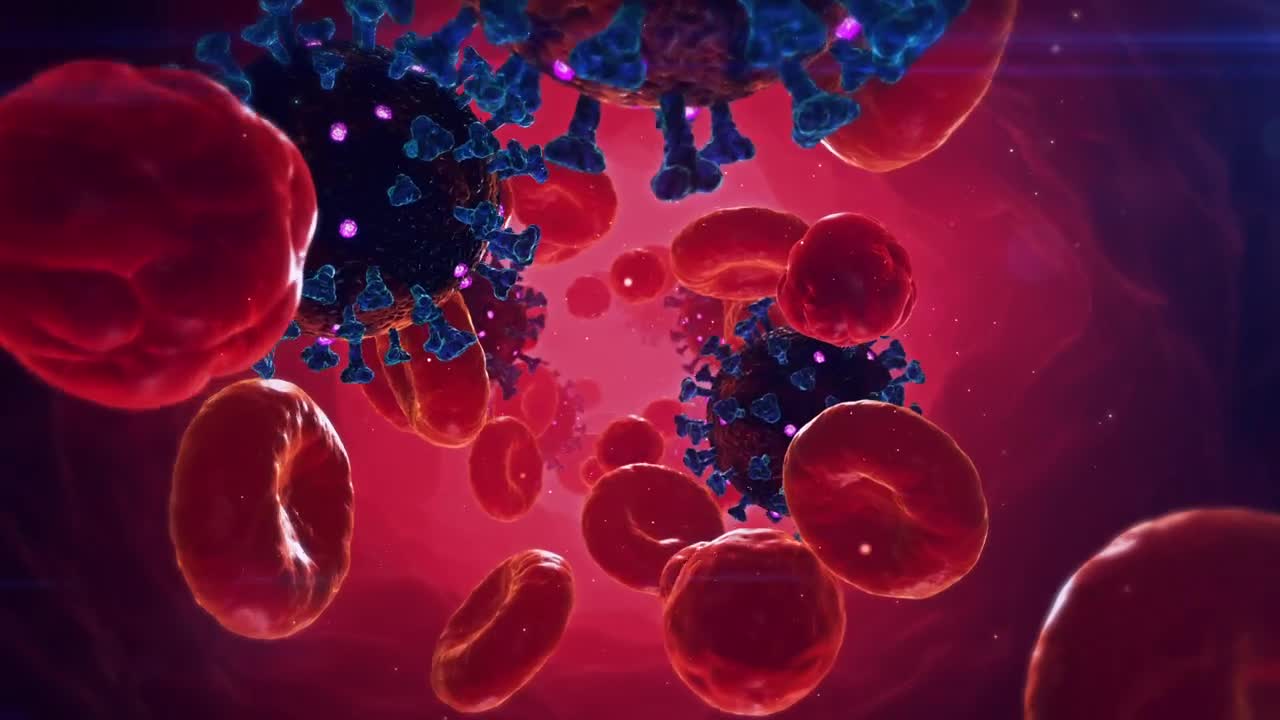 Stock Video Animation Of Viruses Infecting The Human Body Live Wallpaper For PC