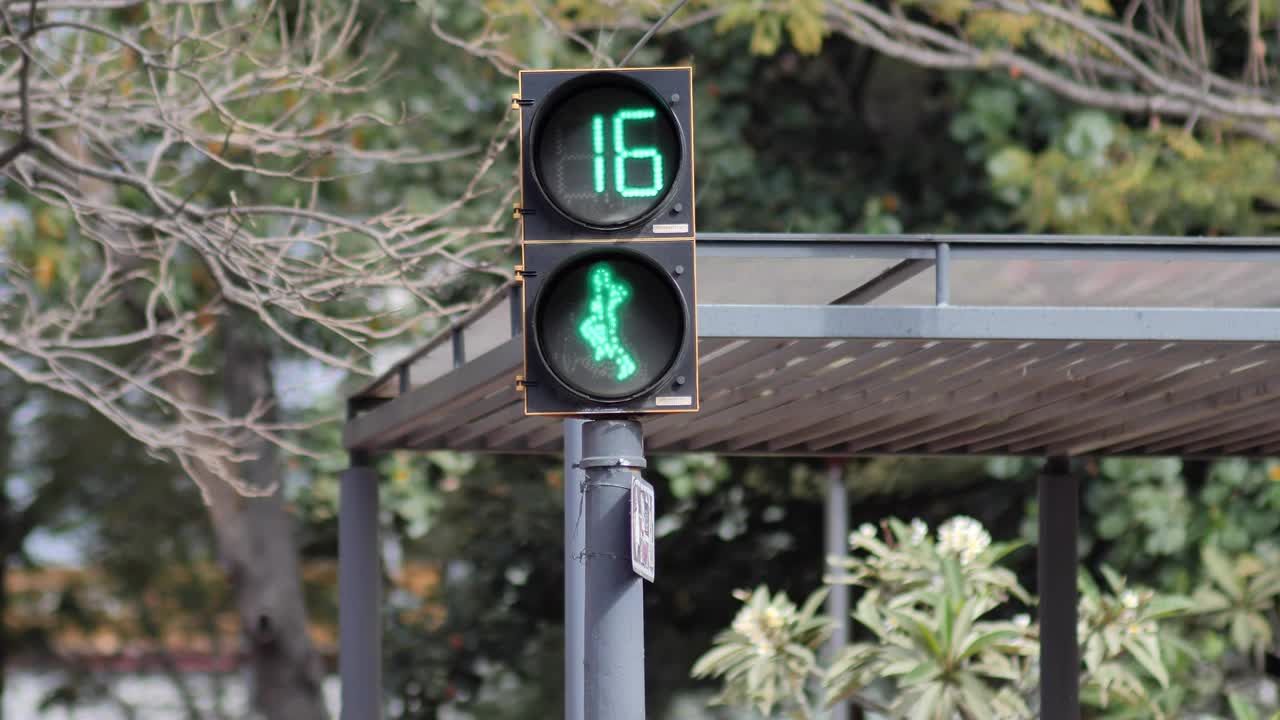 Stock Video Animated Pedestrian Traffic Light With A Reverse Timer Live Wallpaper For PC