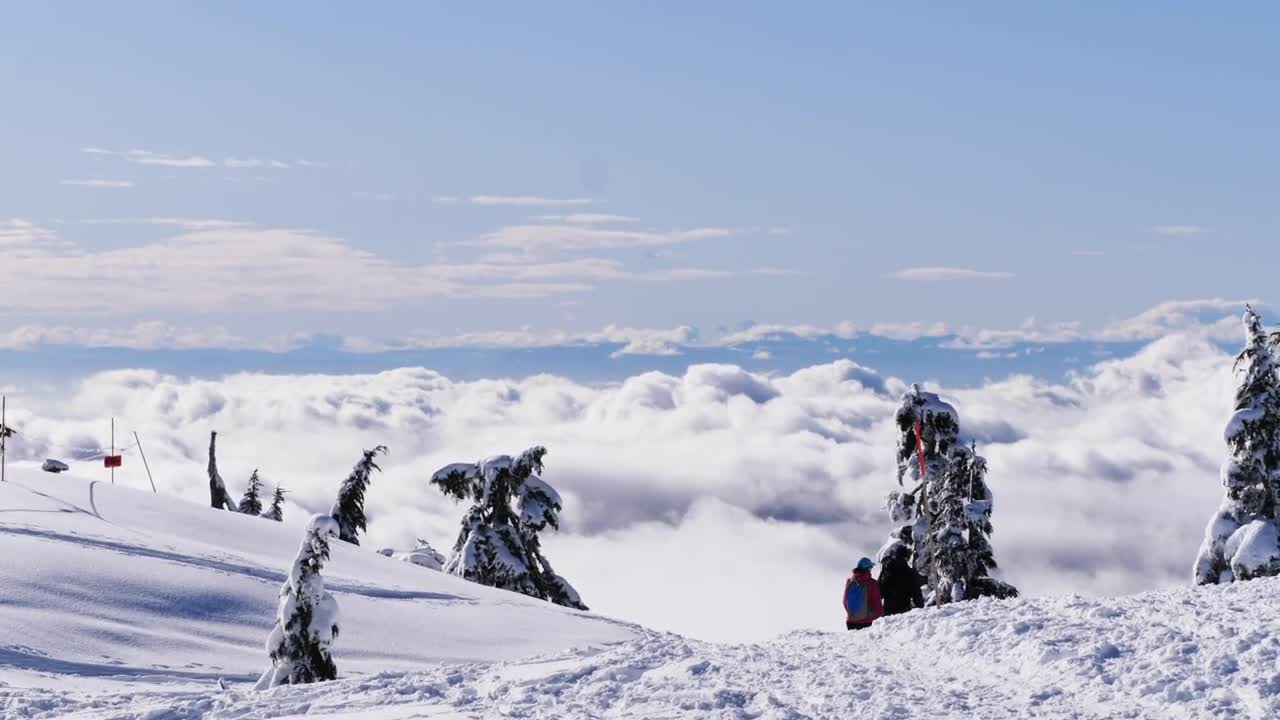 Stock Video Animated Gradient End Screen Live Wallpaper For PC