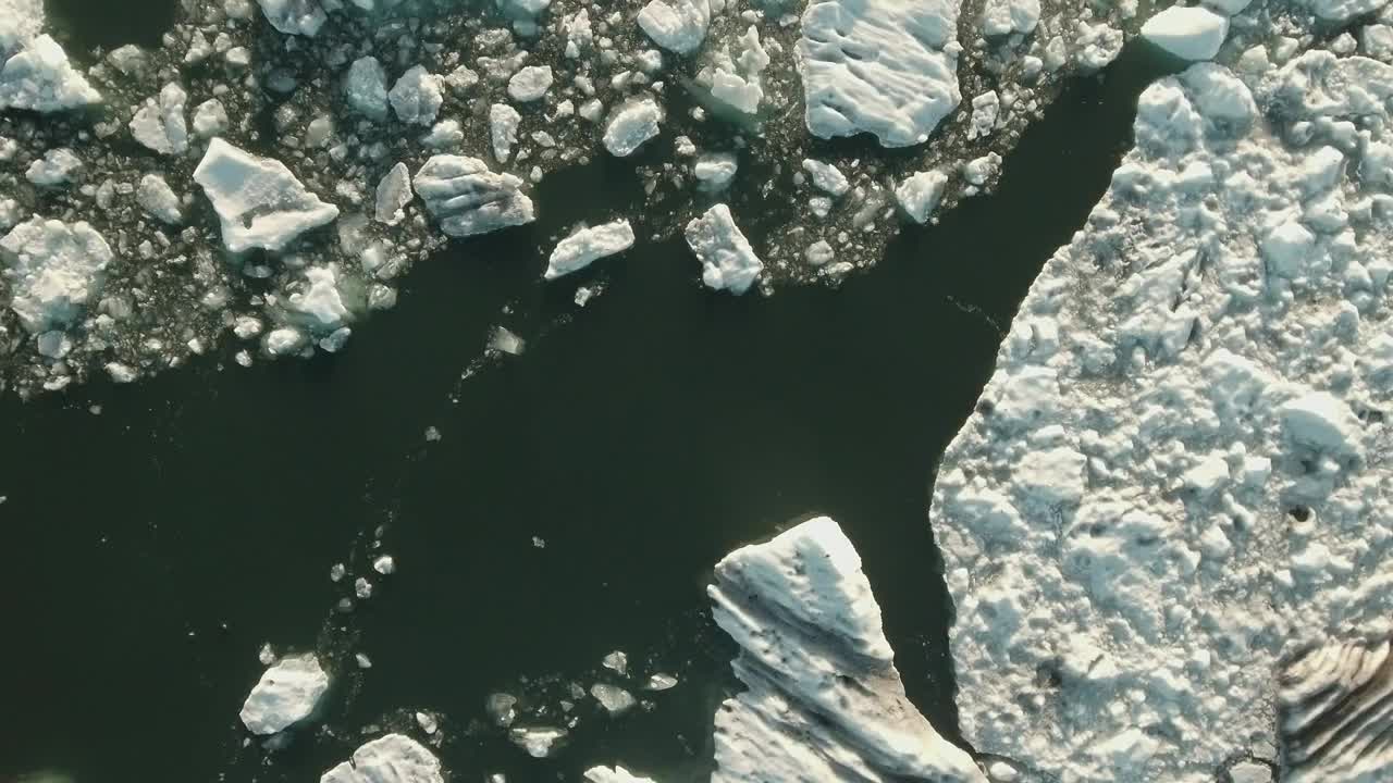 Stock Video Animals Swimming In Cold Water Live Wallpaper For PC