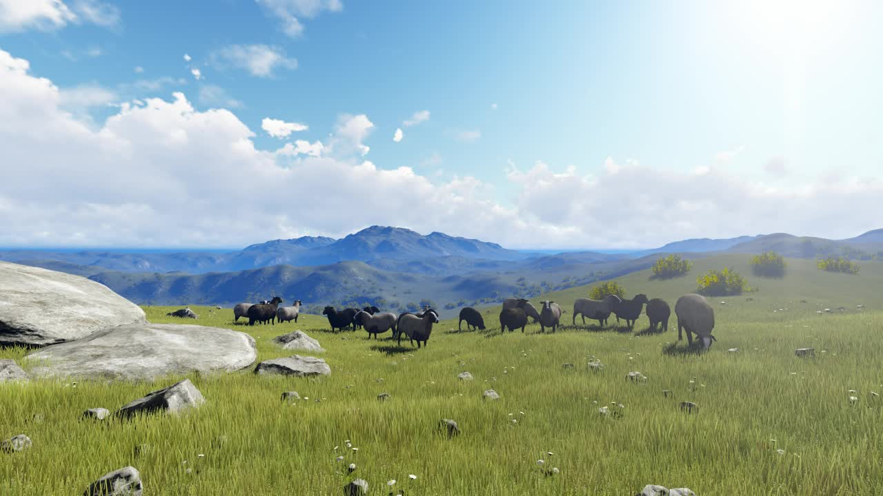 Stock Video Animals Grazing On The Hills During The Day Live Wallpaper For PC