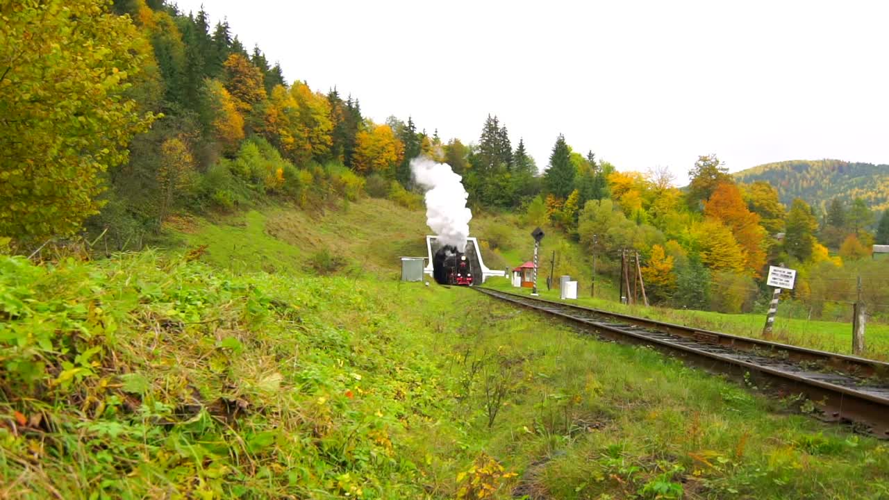Stock Video An Old Steam Train Going Out Of The Tunnel Live Wallpaper For PC