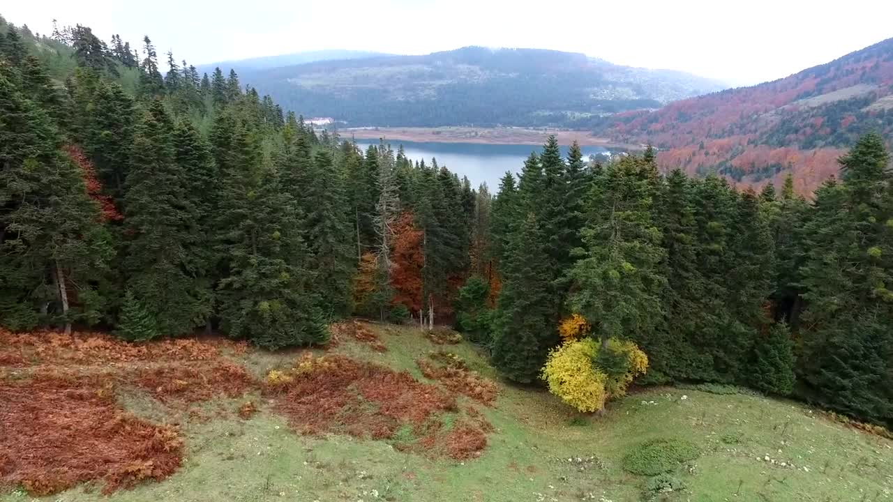 Stock Video An Autumn Forest And Lake Landscape Live Wallpaper For PC