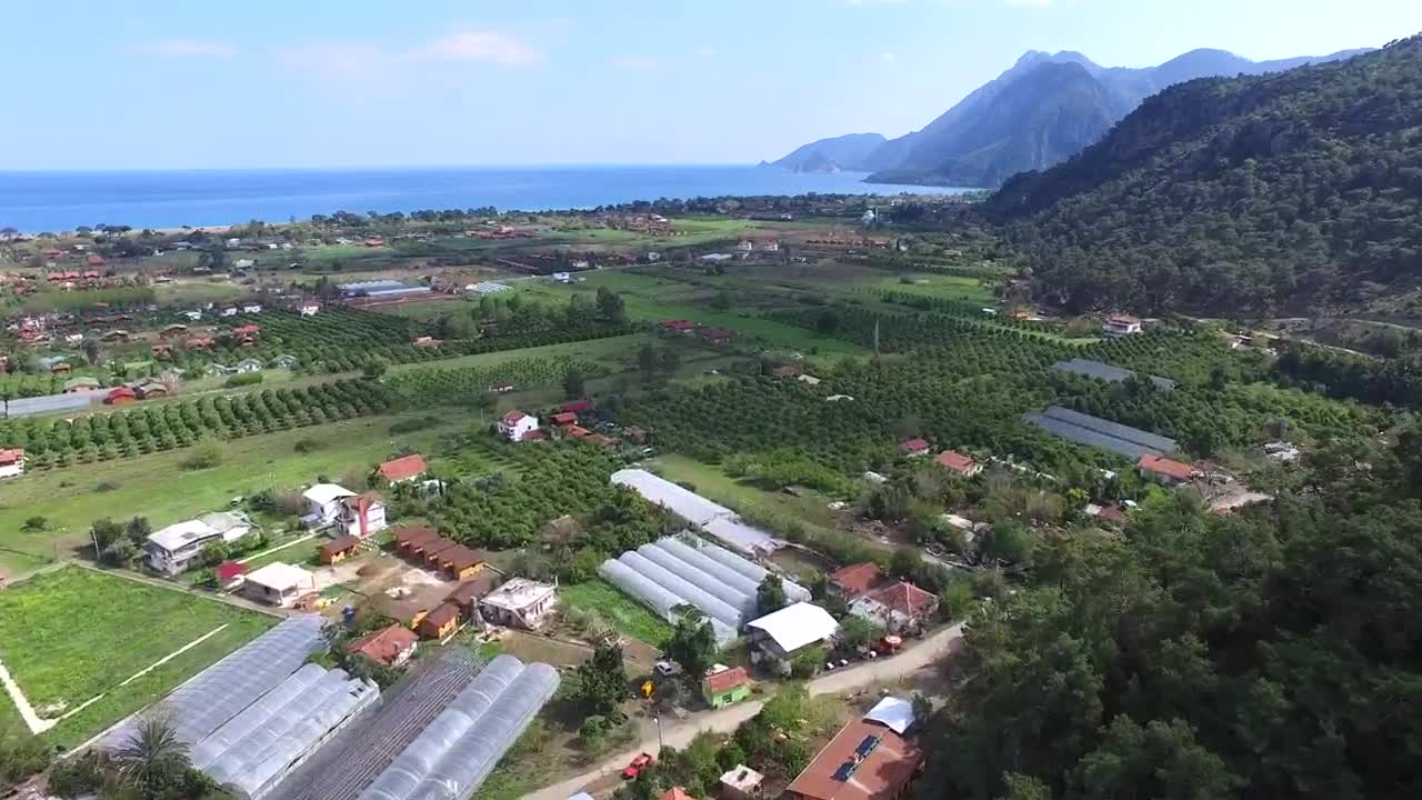 Stock Video An Agricultural Plain Near Sea And Forest Live Wallpaper For PC