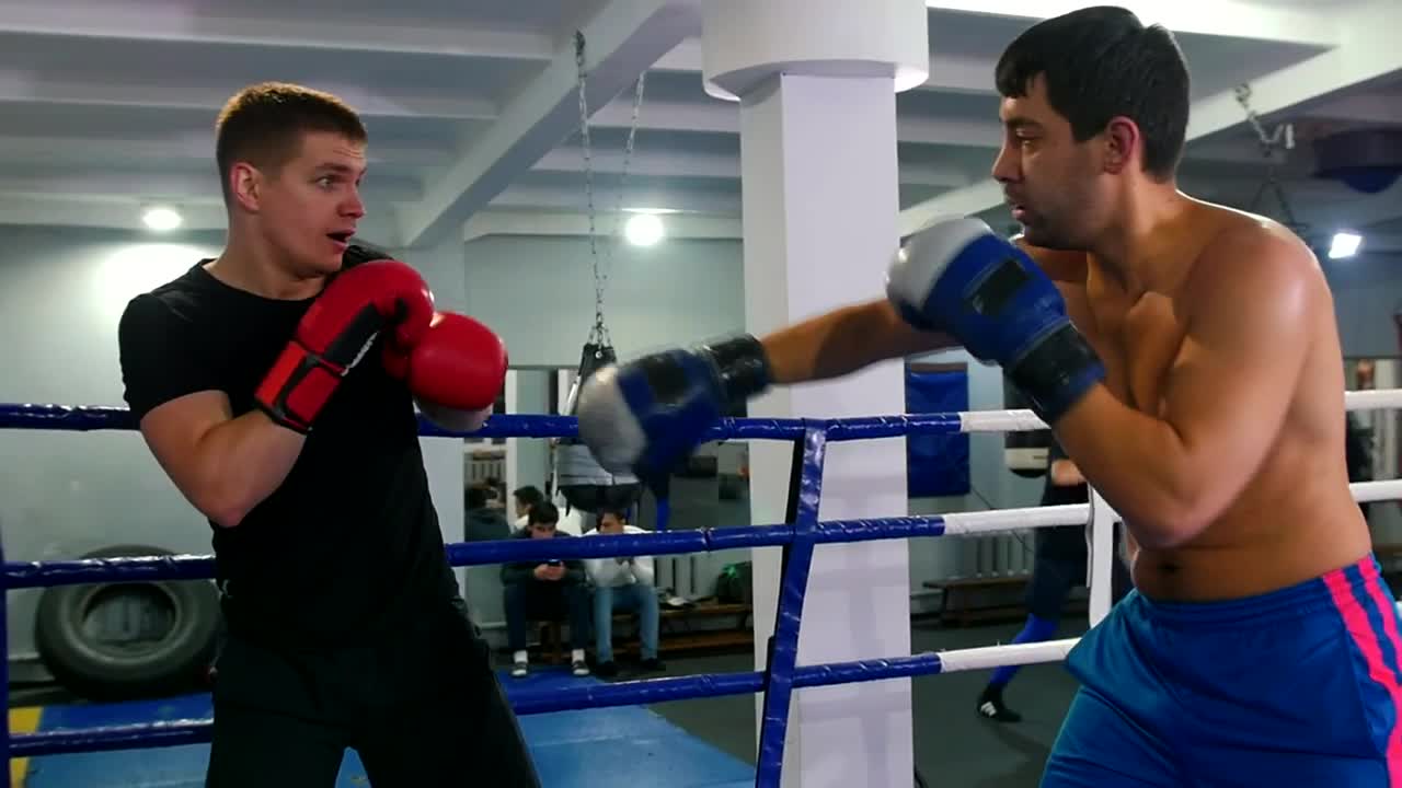 Stock Video Amateur Boxers Training In The Ring Live Wallpaper For PC