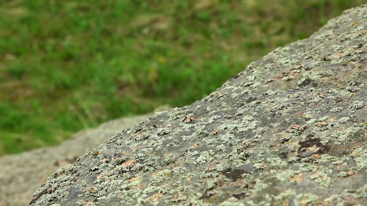 Stock Video Alpinist With Gloves Climbing A Big Rock Live Wallpaper For PC