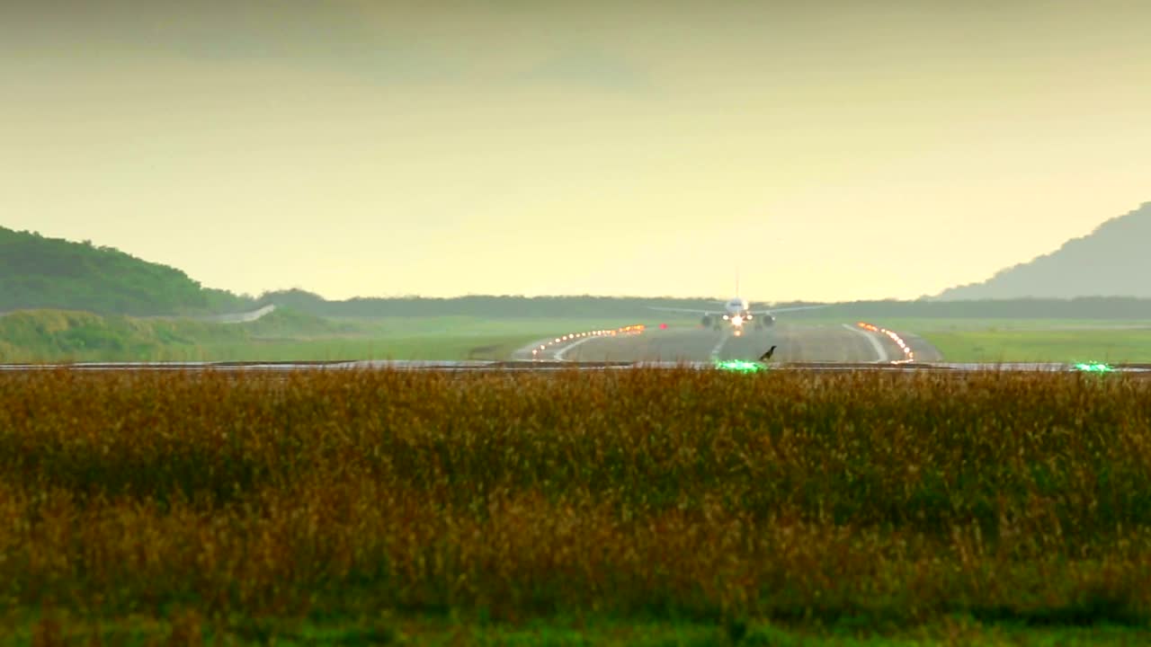 Stock Video Airplane Take Off From The Track Live Wallpaper For PC