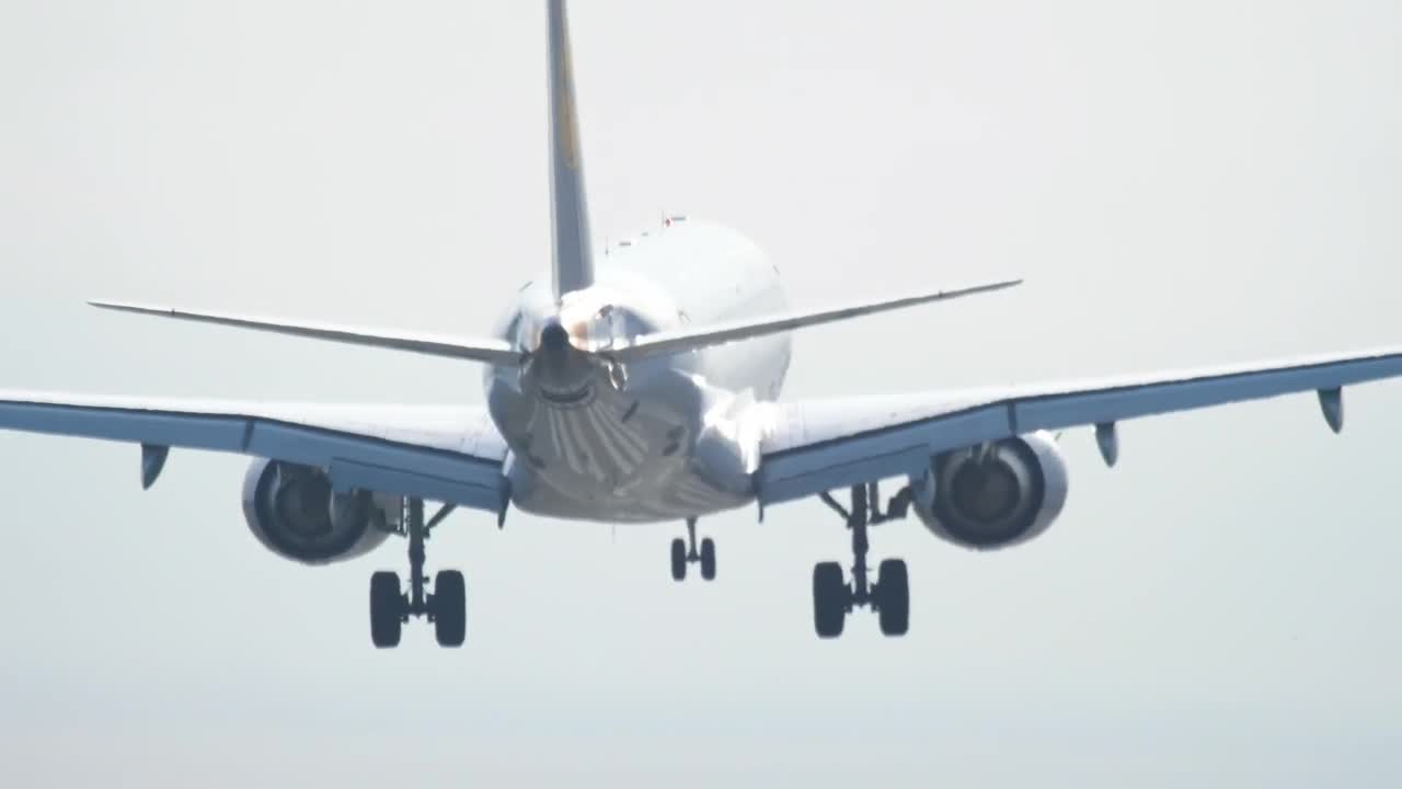 Stock Video Airplane Landing Rear View Live Wallpaper For PC