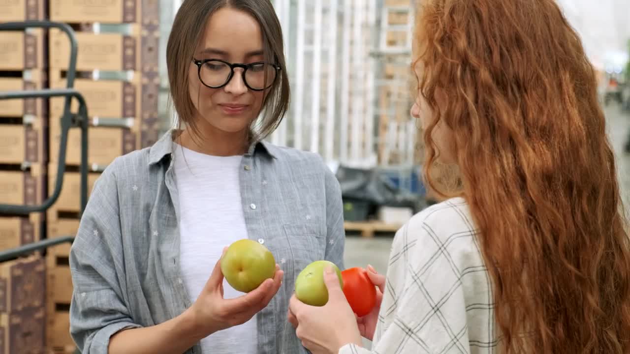 Stock Video Agronomists Reviewing The Quality Of Vegetables Live Wallpaper For PC