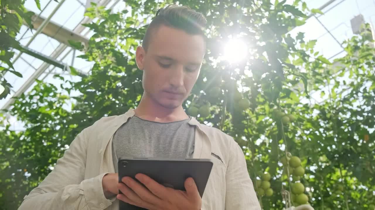Stock Video Agronomist Using A Tablet In The Greenhouse Live Wallpaper For PC