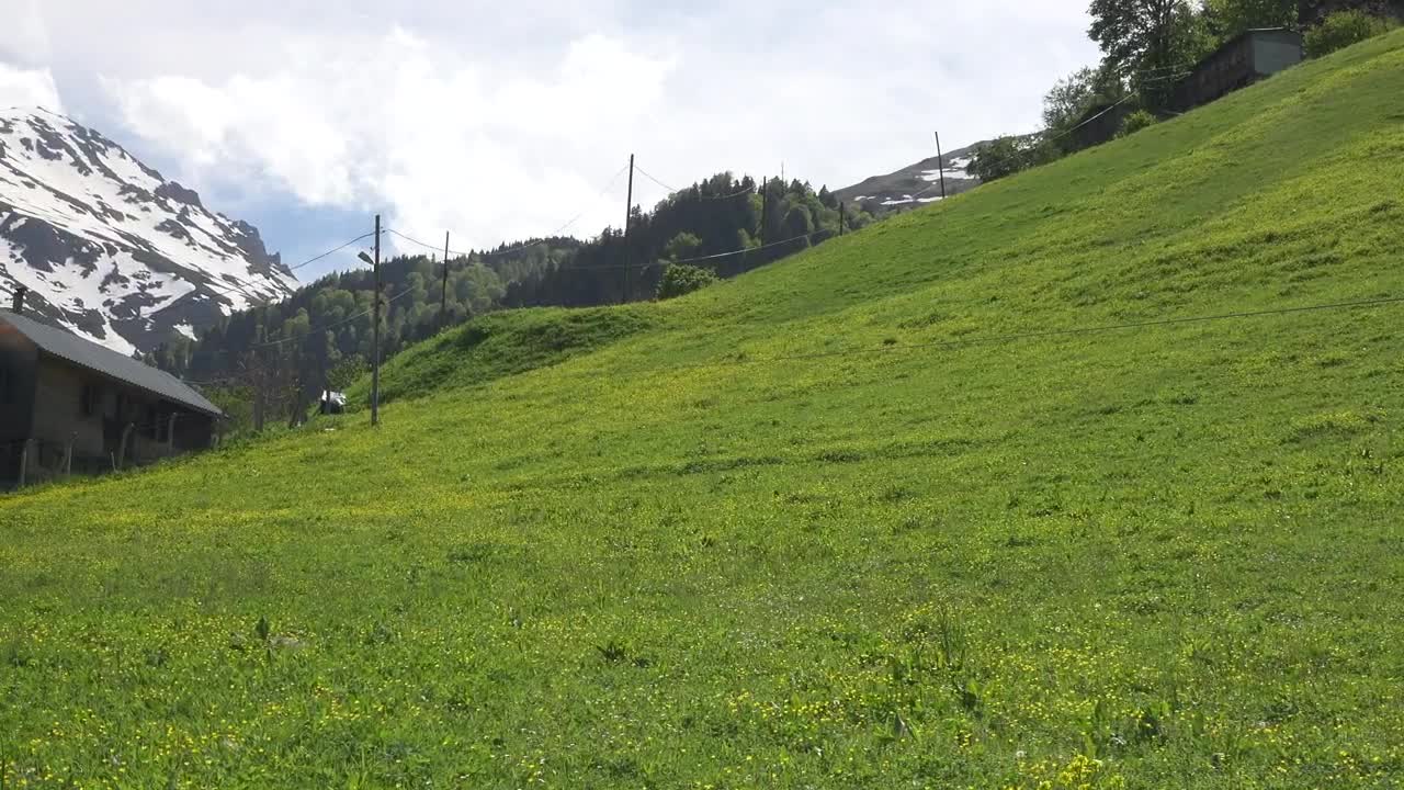 Stock Video A Wooden House In A Green Meadow Live Wallpaper For PC