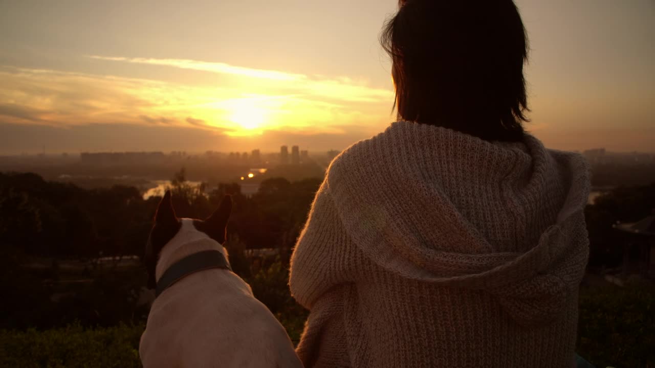 Stock Video A Woman With Her Dog Watching The Sunset Live Wallpaper For PC