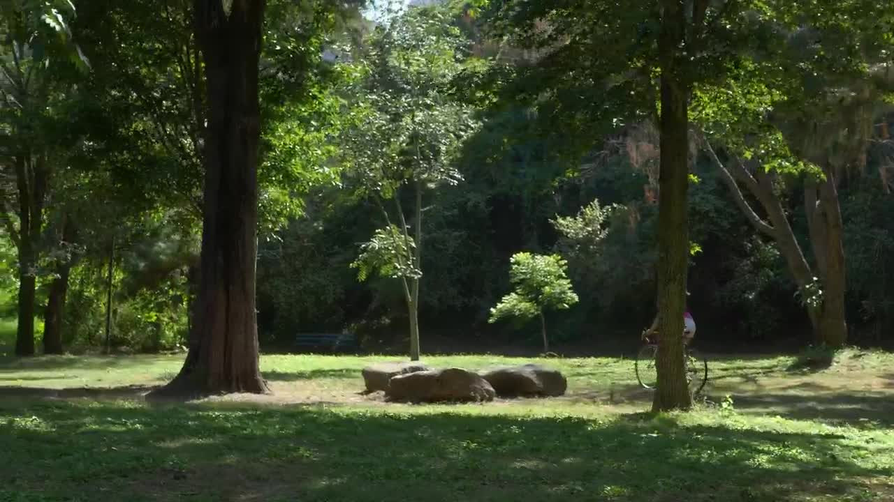 Stock Video A Woman Riding Her Bicycle At A Green Park Live Wallpaper For PC