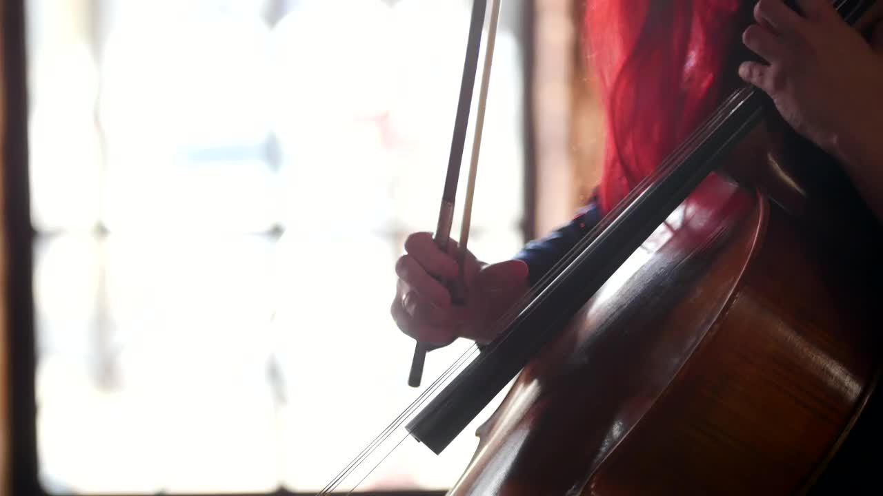 Stock Video A Woman Plays The Cello Live Wallpaper For PC