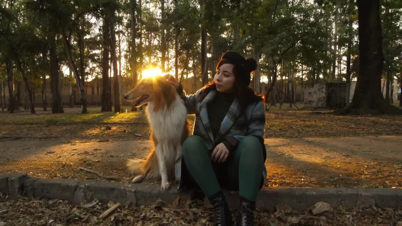Stock Video A Woman Pets A Dog In A Park Live Wallpaper For PC