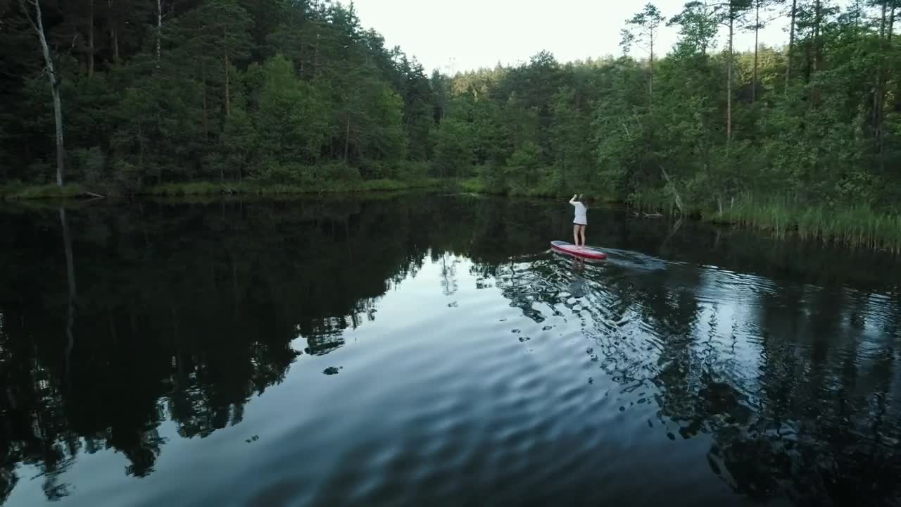 Stock Video A Woman On A Paddle Board Exploring The Forest Live Wallpaper For PC