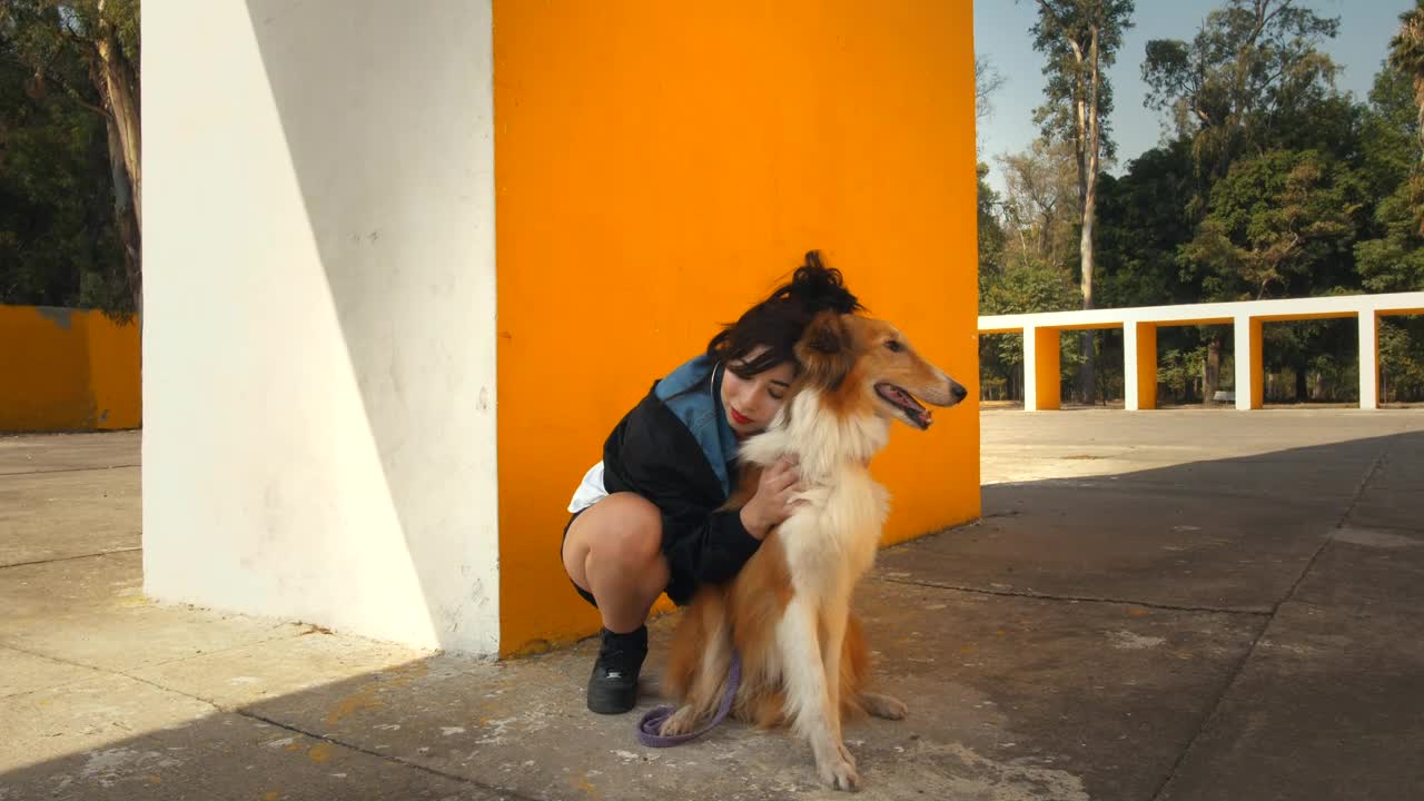Stock Video A Woman Hugging A Dog Live Wallpaper For PC