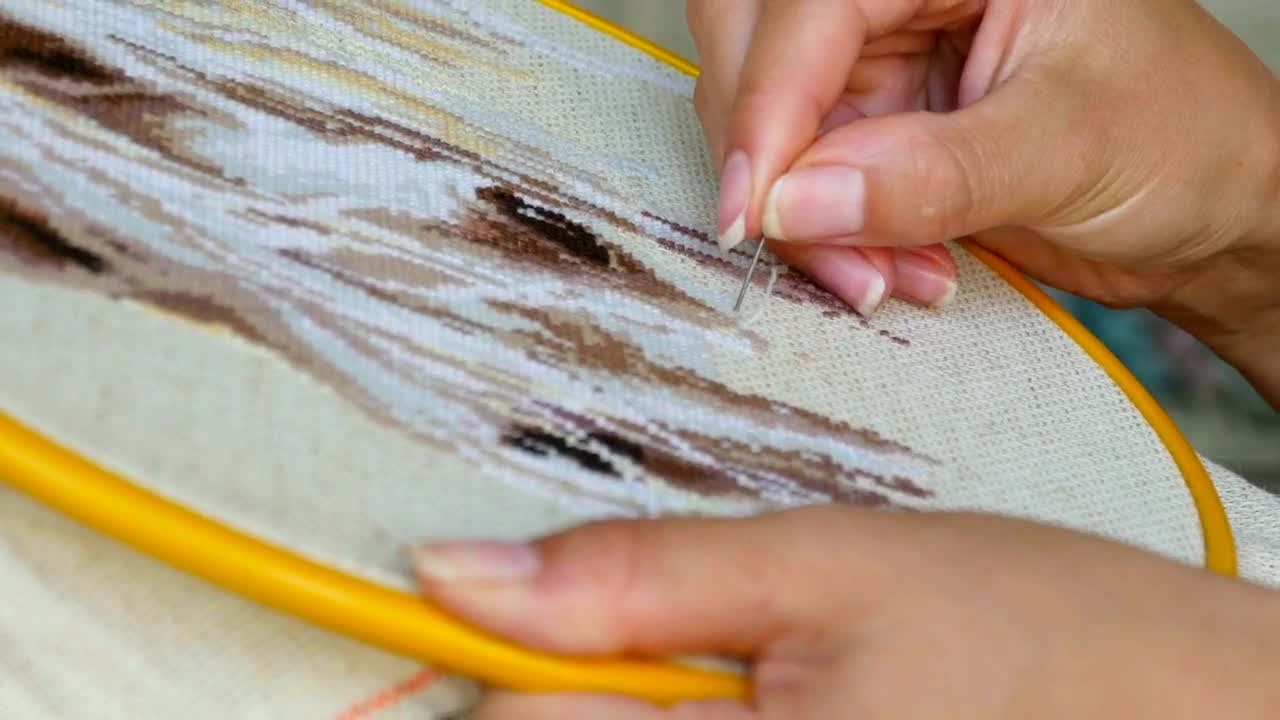 Stock Video A Woman Doing Needlework Live Wallpaper For PC