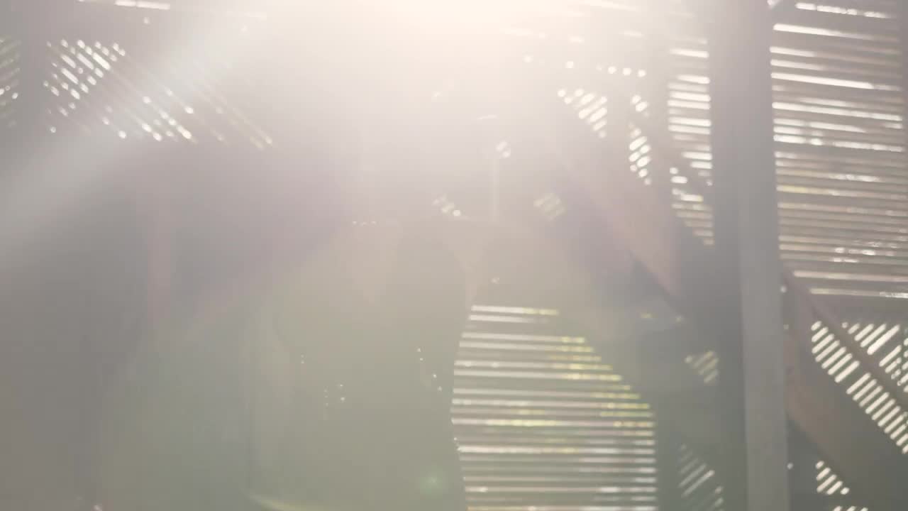 Stock Video A Woman Dancing In The Sun Live Wallpaper For PC