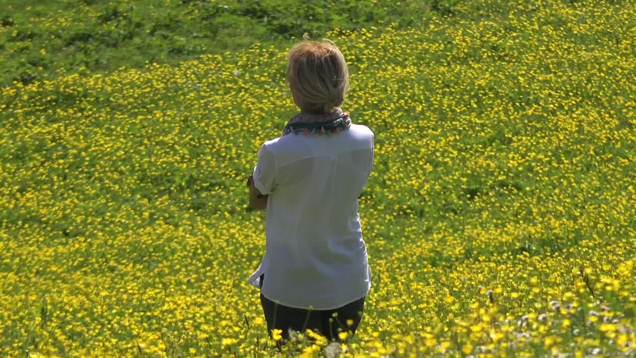 Stock Video A Woman Contemplates A Yellow Flower Field Live Wallpaper For PC