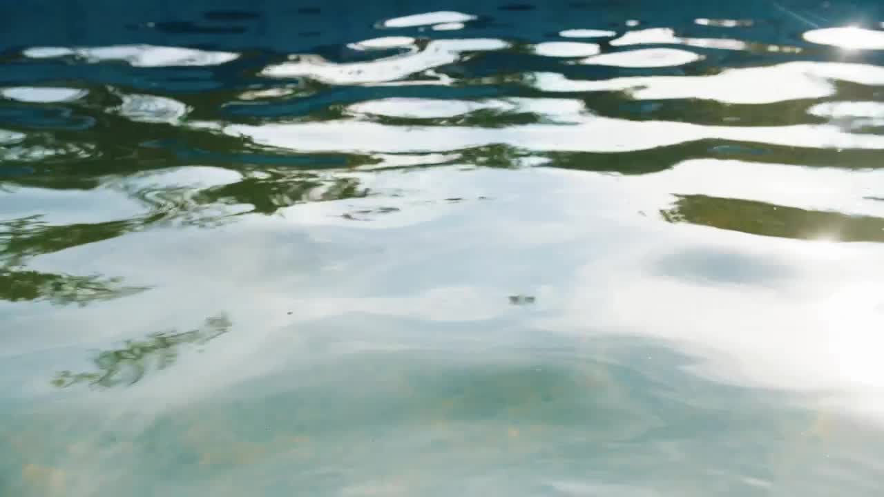 Stock Video A Toy Boat Sailing In Water Live Wallpaper For PC