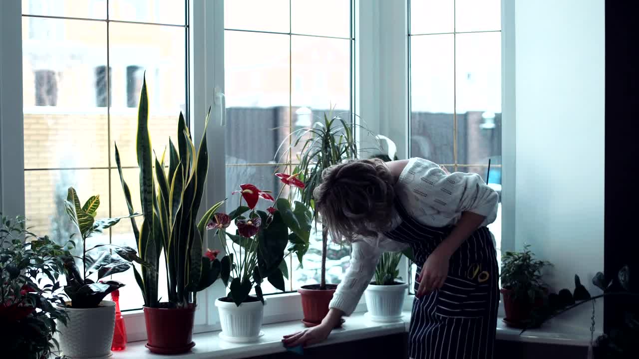 Stock Video A Tired Woman Cleaning The Home Live Wallpaper For PC