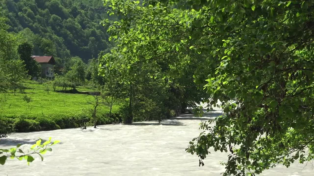 Stock Video A Small Cabin In A Green Meadow By The River Live Wallpaper For PC