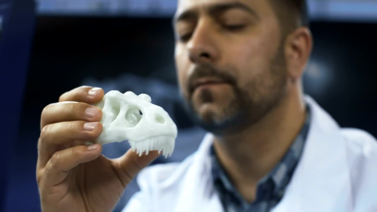 Stock Video A Scientist Studying A Dinosaurs Skull Live Wallpaper For PC