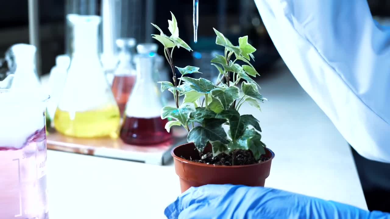 Stock Video A Scientist Dropping A Substance On A Plant Live Wallpaper For PC