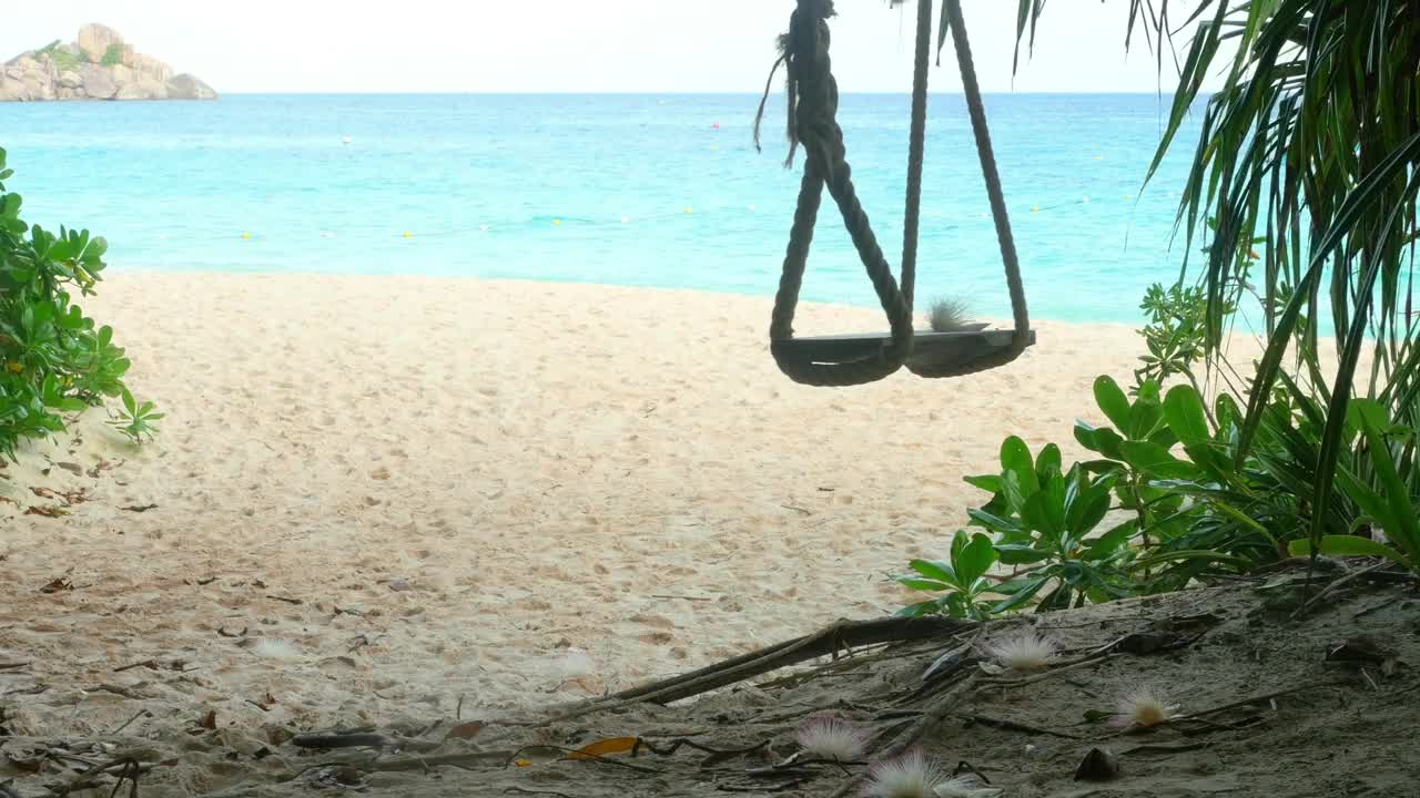 Stock Video A Rope Swings On A Tropical Beach Live Wallpaper For PC