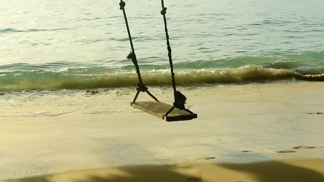 Stock Video A Rope Swing And The Beach Waves Live Wallpaper For PC