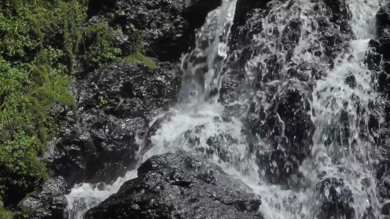 Stock Video A Rocky Waterfall In The Forest Live Wallpaper For PC