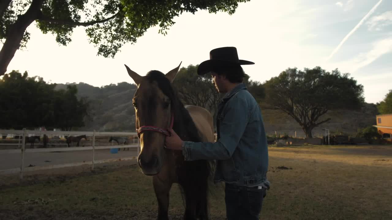 Stock Video A Rancher Brushing Horses Hair Live Wallpaper For PC