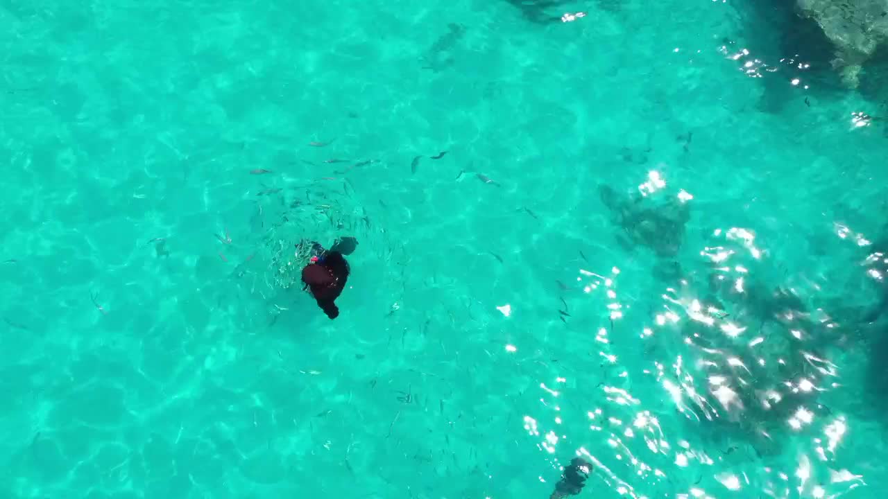 Stock Video A Person Snorkeling In A Turquoise Water With Reef Live Wallpaper For PC